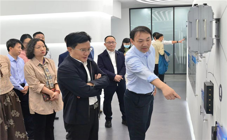 广州市海珠区长毛松柏到我司调研
